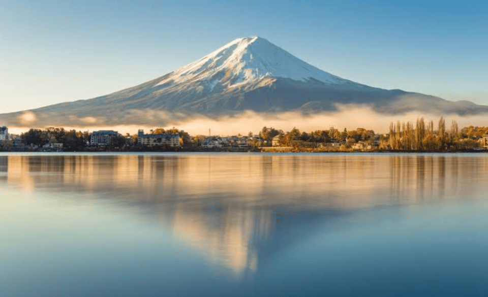 From Tokyo: Mount Fuji Full Day Private Tours English Driver - Booking Process and Flexibility