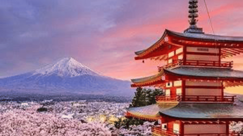 From Tokyo: Mount Fuji Private Day Trip - Key Points