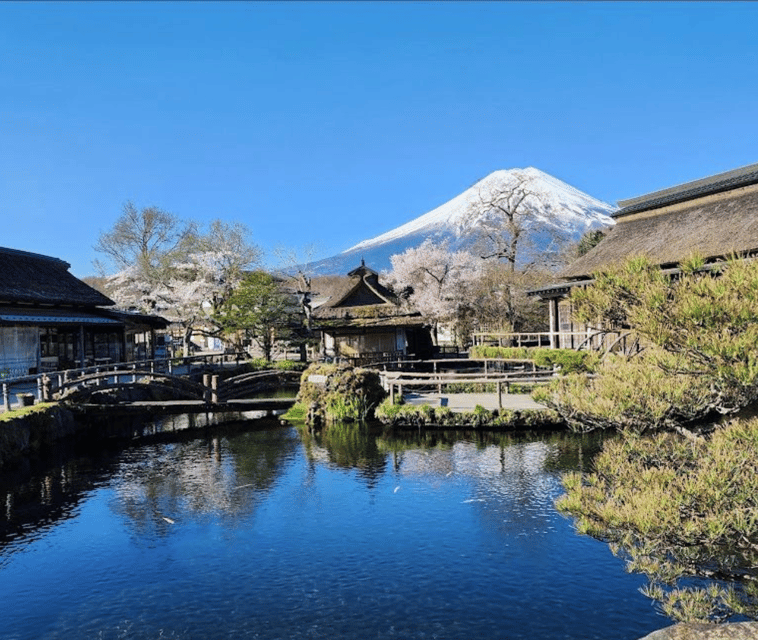 From Tokyo: Mt Fuji Private Day Tour In Luxury Land Cruiser - Important Travel Information