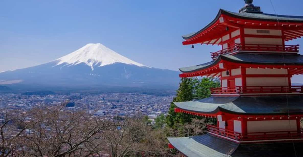 From Tokyo: Mt Fuji Sightseeing Day Tour With English Guide - Accessibility Options