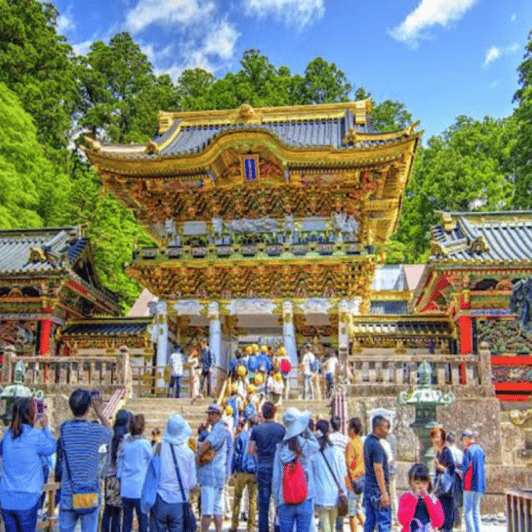 From Tokyo: Nikko Sightseeing Private Day Tour English Guide - Inclusions and Amenities