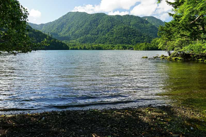 FROM TOKYO: NIKKO WORLD HERITAGE SIGHTS PRIVATE TOUR - Transportation and Accessibility