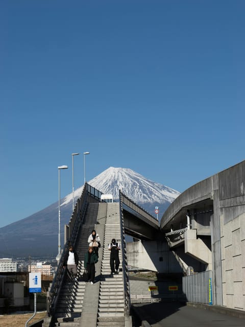 From Tokyo: Private Day Trip to Mount Fuji and Surroundings - Guided Experience