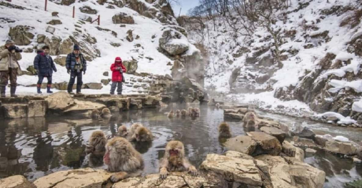 From Tokyo: Private Tour Snow Monkey Park & Zenko-ji Temple - Transportation Options