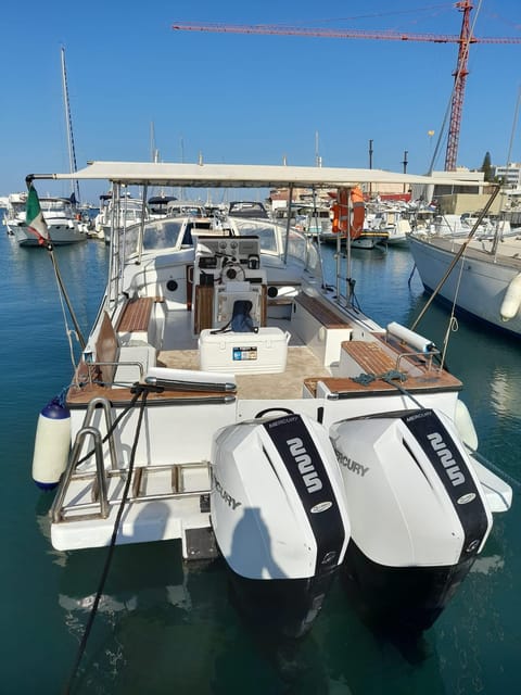 From Trapani: Favignana and Levanzo Boat Tour With Lunch