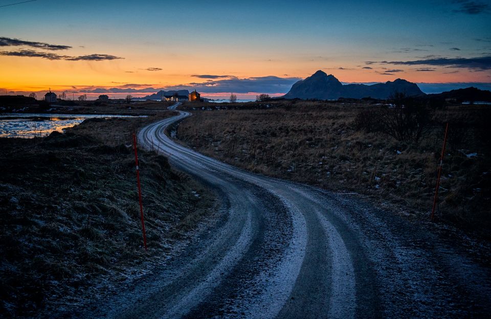 From Tromsø: Arctic Wildlife & Fjord Sightseeing Tour by Car - Tour Overview and Details