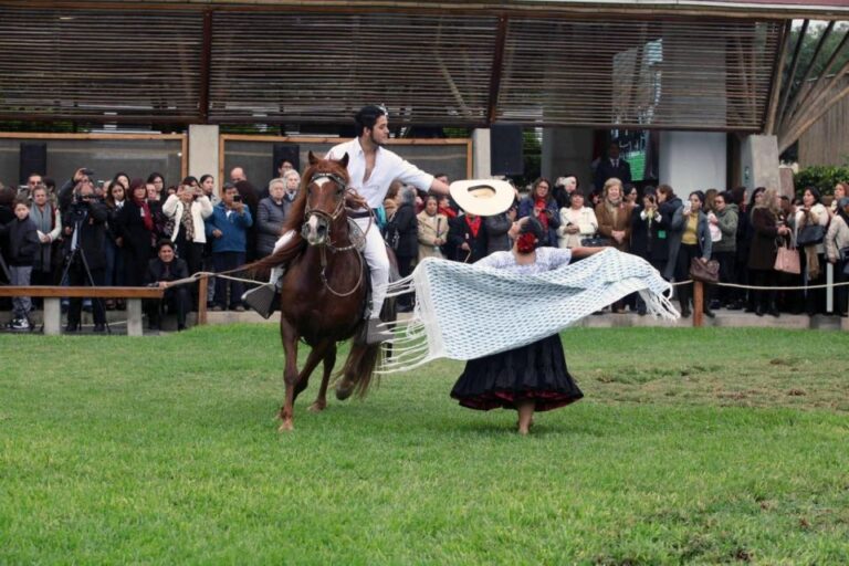 From Trujillo | Marinera Show With Peruvian Paso Horses