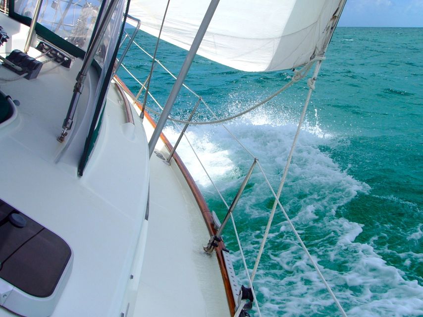2 Best Cruises And Boat Tours In Tucepi