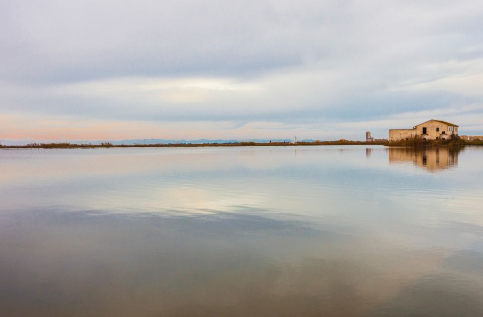 From Valencia: Albufera Day Trip With Boat Tour and Transfer - Tour Overview and Savings