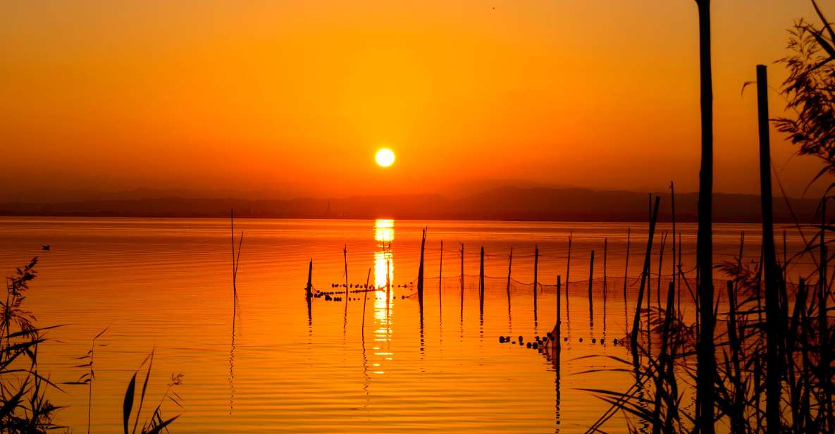 From Valencia: Albufera Natural Park With Sunset Boat Tour - Overview of the Tour