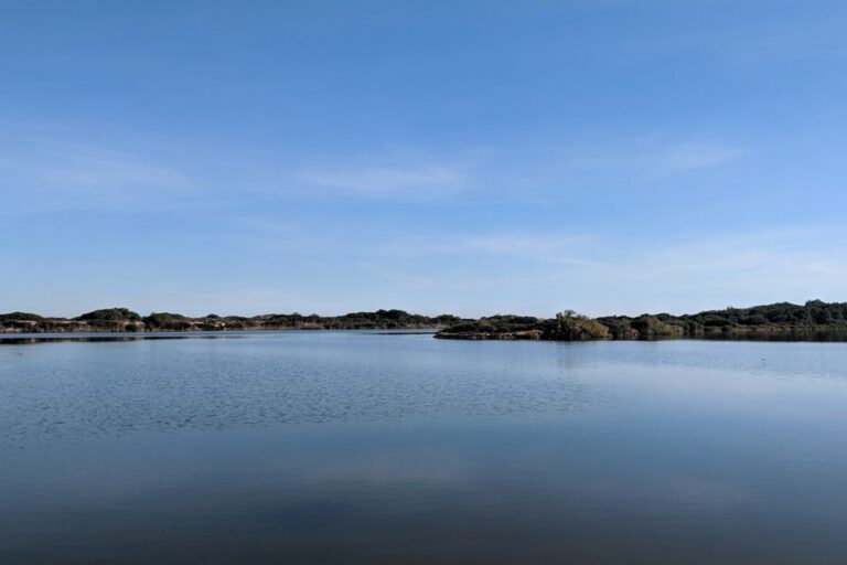 From Valencia: Private Albufera Van Tour With Boat Ride