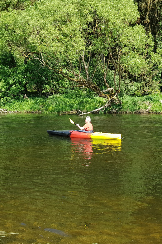 From Viechtach: Regen River Canoe Tour to Höllenstein Lake - Tour Overview