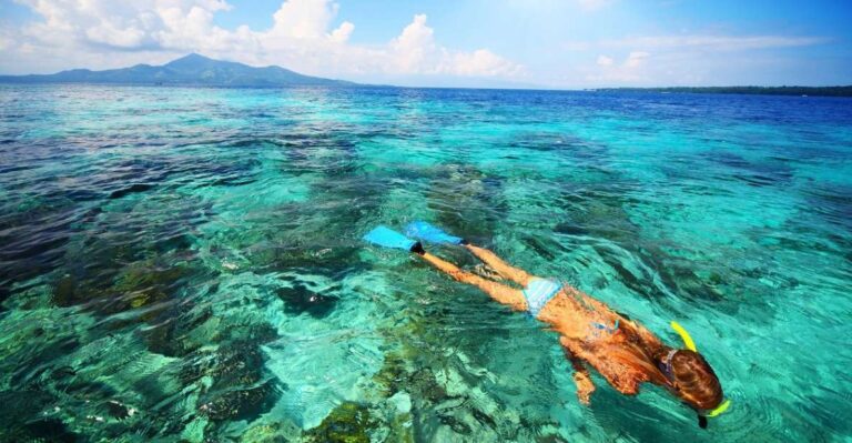 From Zadar: Private Half-Day Swimming Trip by Boat