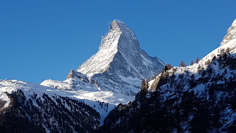 From Zürich: Zermatt and Matterhorn Full-Day Group Tour - Tour Overview and Pricing