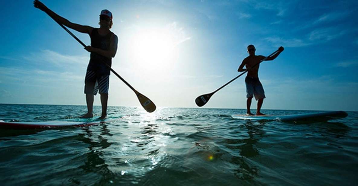 Fuerteventura: 1.5-Hour SUP Course - Caleta De Fuste - Course Overview