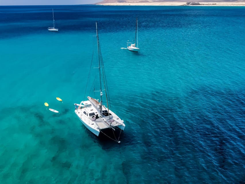 Fuerteventura: Catamaran Excursion to Lobos Island - Overview and Pricing