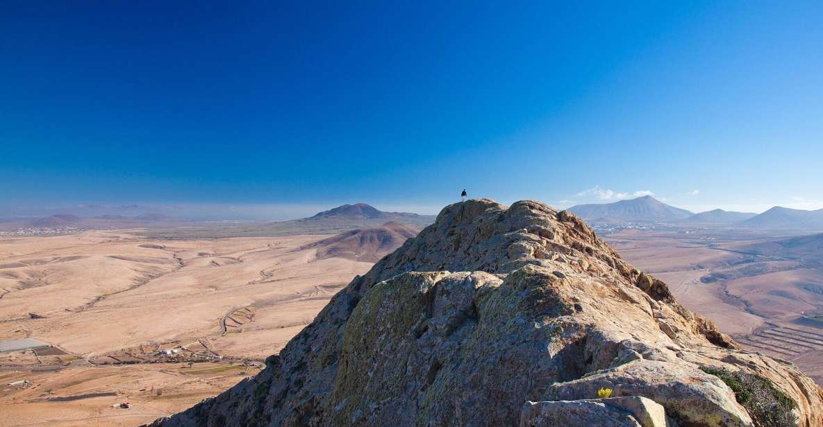 Fuerteventura: Discover Scenic Views With Local Guide. 7h. - Tour Overview