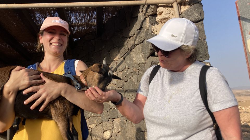 Fuerteventura: Guided Trekking Tour With Island Goats - Tour Pricing