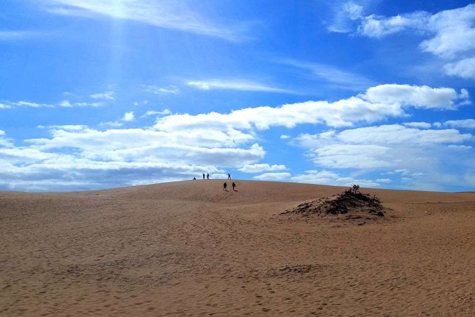 Fuerteventura: Panoramic Tour - Tour Overview and Pricing