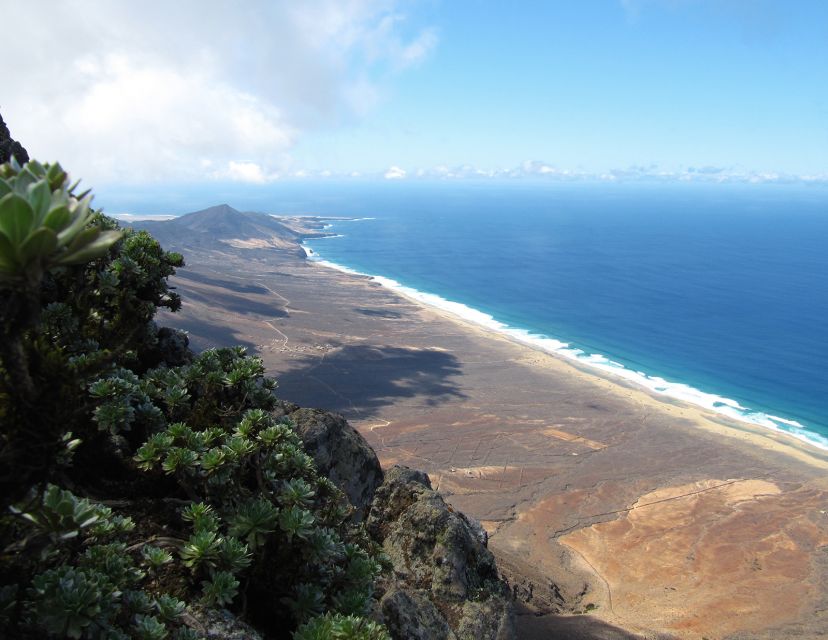 Fuerteventura: Pico De La Zarza Tour - Experience Highlights