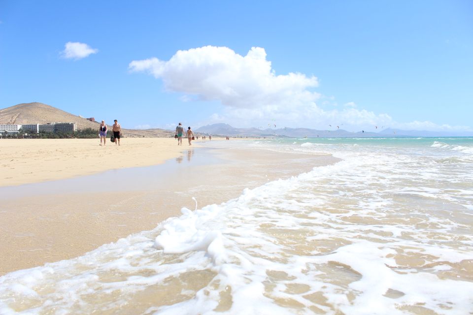 Fuerteventura South Full-Day Tour - Tour Overview and Pricing