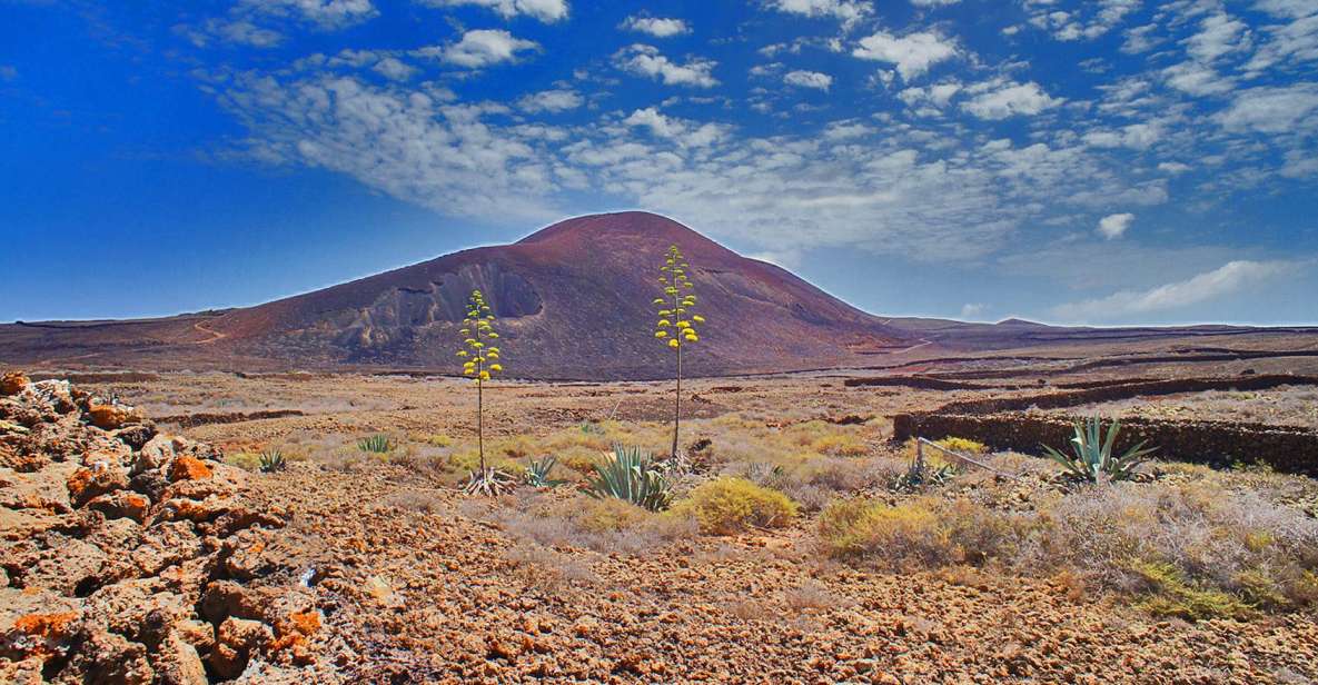 Fuerteventura: Trekking Tour Through the North of the Island - Tour Overview