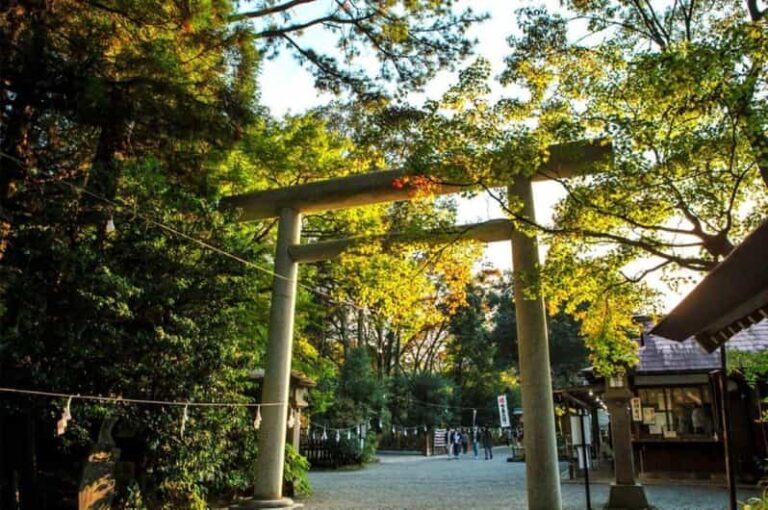 Fukuoka Takachilo Gorge Amanoyasugawara Shrines One Day Tour