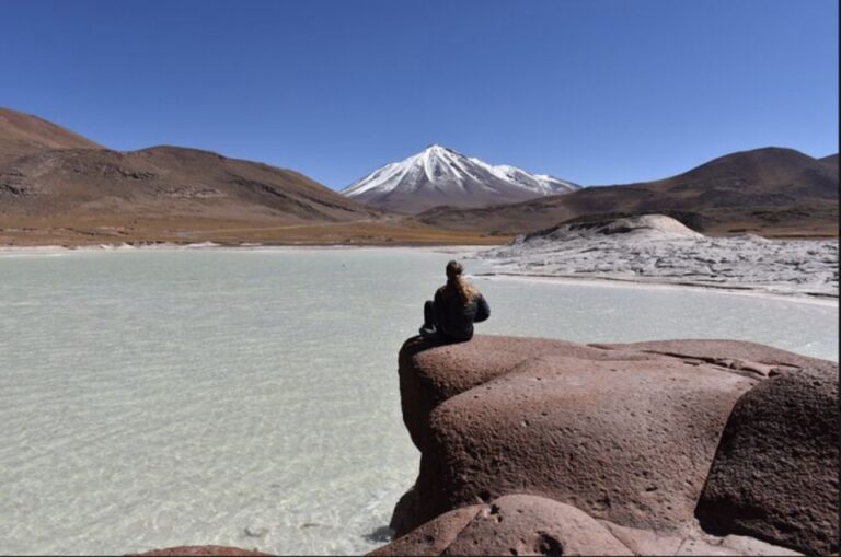 Full Day Altiplanic Lagoons, Red Stones, and Chaxa Lagoon