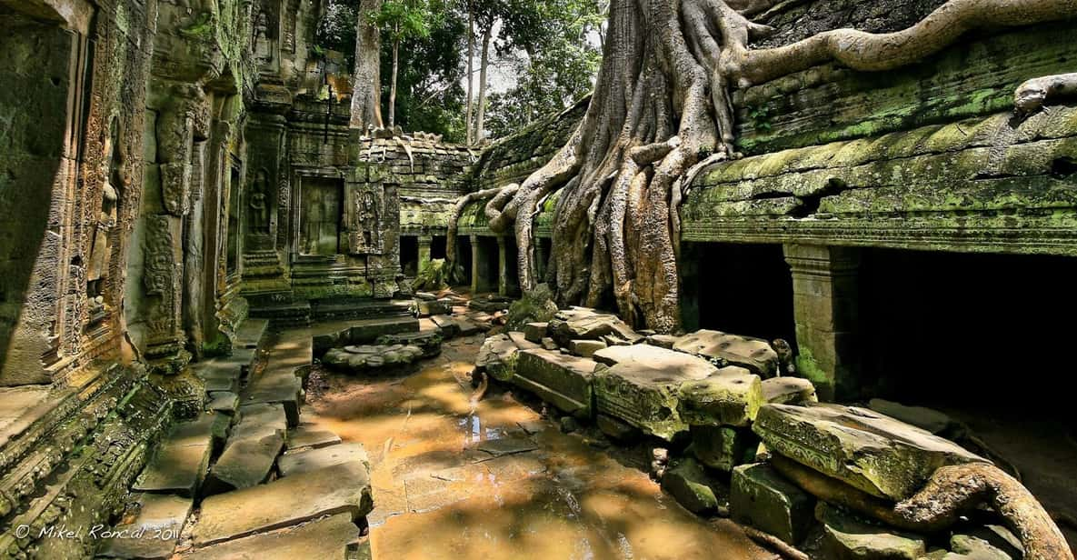 Full-Day Angkor Wat Join-In Group Guided Tour - Tour Overview and Pricing