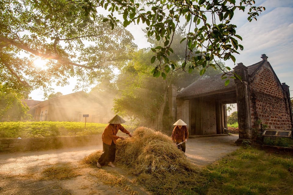 Full Day Duong Lam Village, Tay Phuong and Thay Pagoda Tour - Tour Overview