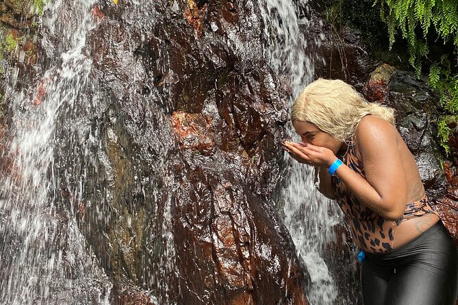 Full-Day Private Tour to Tinajas Waterfalls in El Yunque - Overview of the Tour