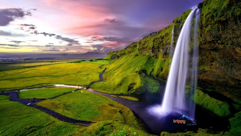 Full-Day Tour of the Scenic South Coast of Iceland