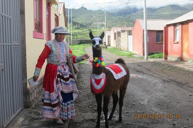 Full Day Trip to Colca Canyon From Arequipa