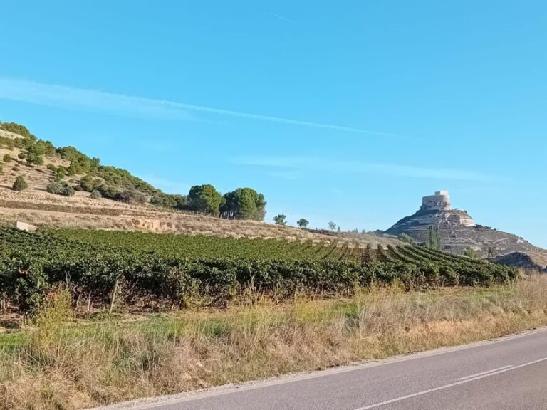 Full Day Wine Tour in Ribera Del Duero From Madrid