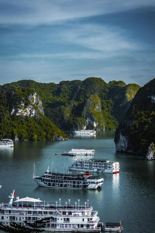 FullDay In Ha Long Bay, Luon Cave And Titop Island - Tour Overview