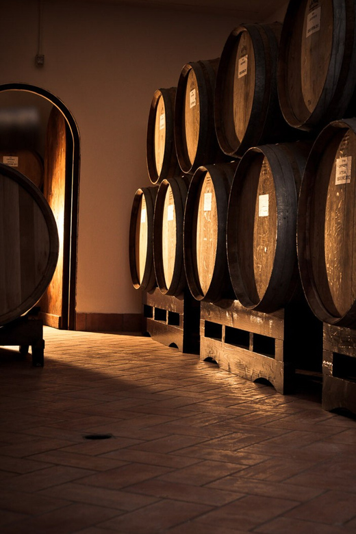 Fumane: Valpolicella Wine Tasting Tour in a Medieval Court - Tour Overview