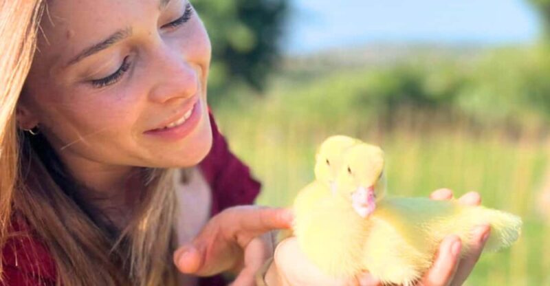 Gallura: Picnic on a Farm With Animals - Interacting With Rescued Animals
