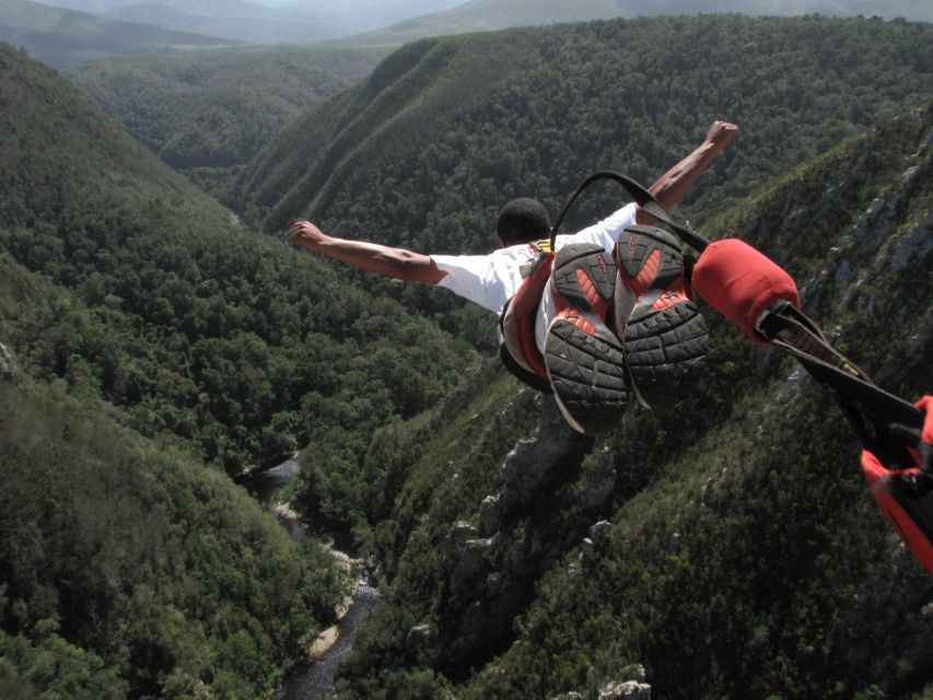 Garden Route and Addo Elephant National Park: 5-Day Safari - Tour Overview and Pricing