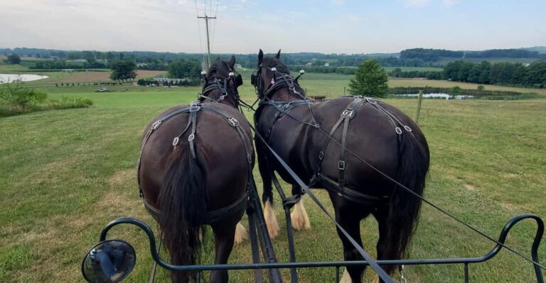 Gettysburg: Horse-Drawn Carriage Tour Countryside & Orchards