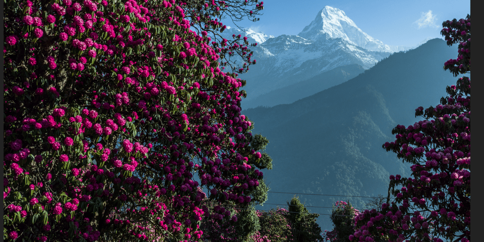 Ghorepani Poon Hill Trek - Inclusions