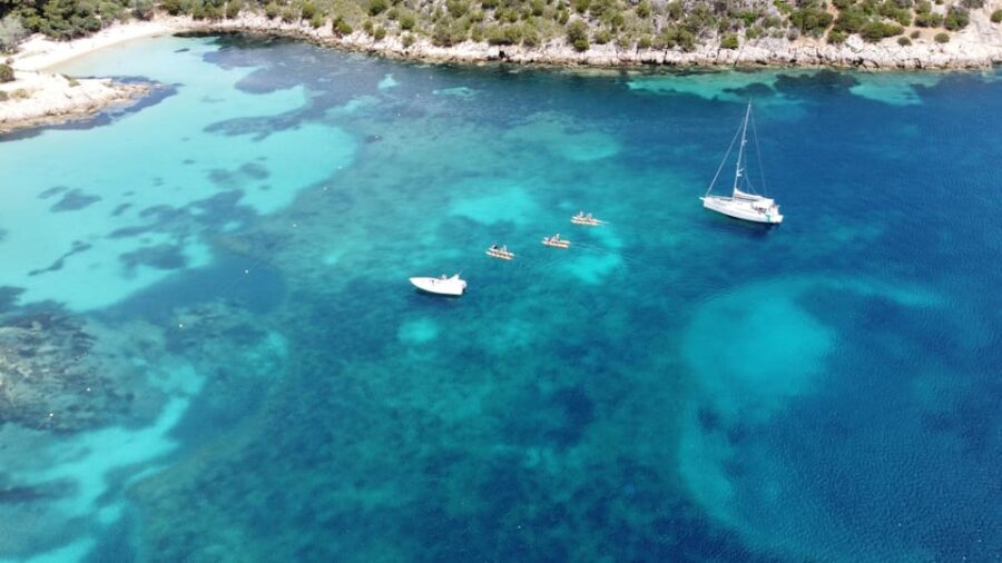 Golfo Aranci: Hydrobike Experience With Aperitif & Dolphins