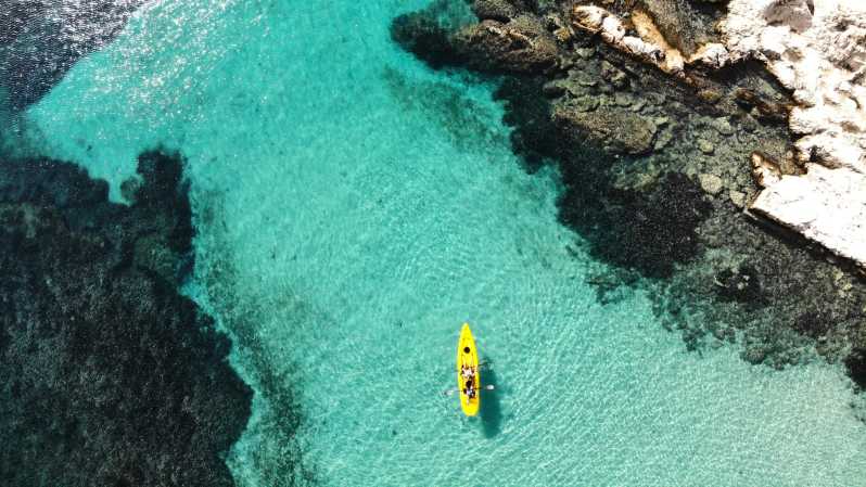 Golfo Aranci: Small Group Kayak Tour With Aperitif &Dolphins