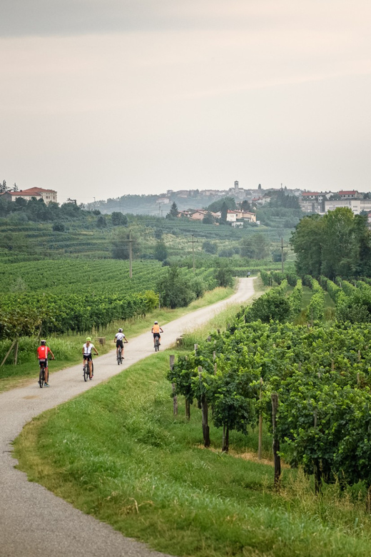 GorišKa Brda: E-Bike Tour With Local Guide - Cycling Through Scenic Villages