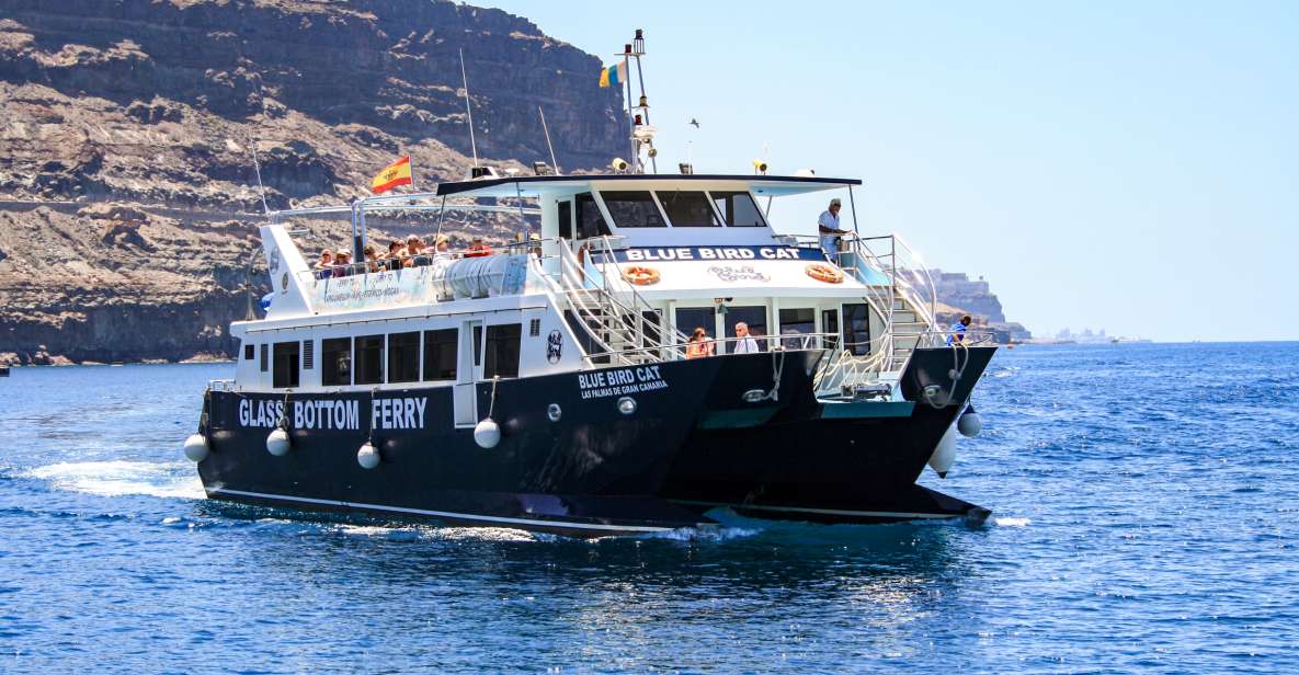 Gran Canaria: Catamaran Dolphin Watch Cruise With Snorkeling - Activity Overview