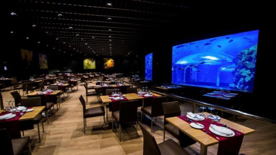 Gran Canaria Experience From Tenerife - Tour Overview and Pricing