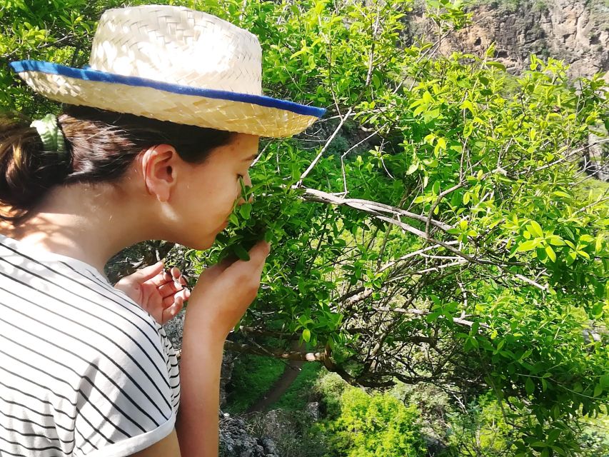Gran Canaria: Green Witchcraft in the Magic Island