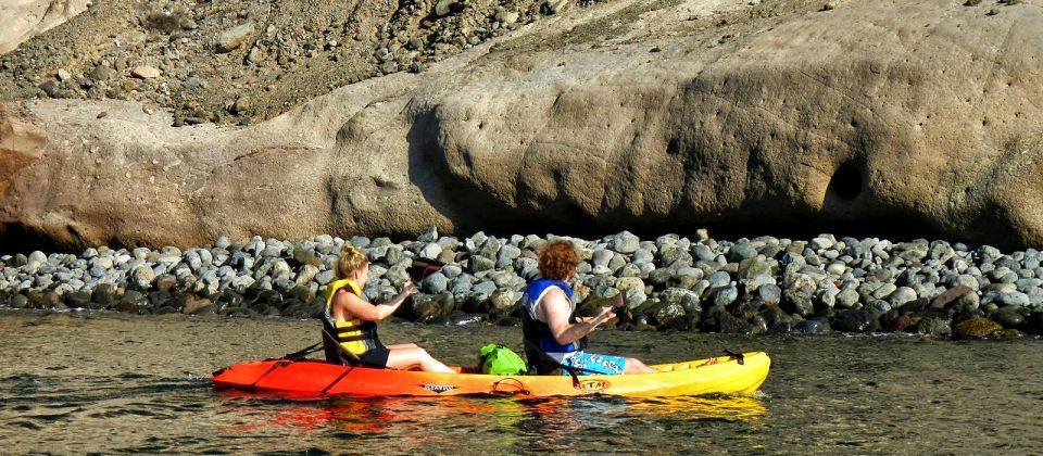 Gran Canaria: South Coast Guided Kayaking Trip - Activity Overview