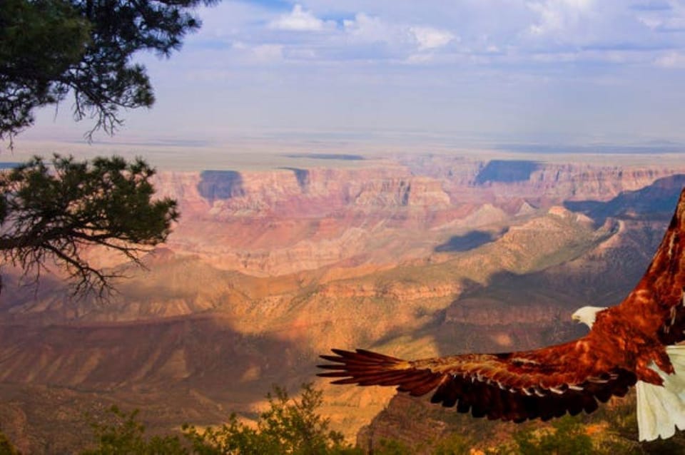 Grand Canyon West: 1-Day Entrance Ticket - Ticket Details