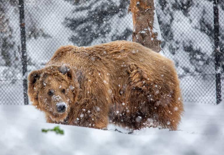 Great Plains Zoo