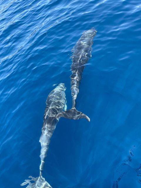 Group Blue Cave and Three Island Tour Withspeedboat Full Day - Tour Overview